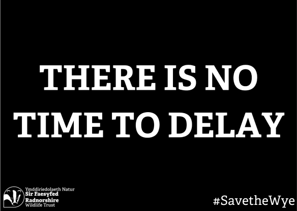 Save the Wye: There is no time to delay (Wildlife Trusts)