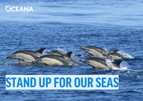 Oceana: Stand up for our seas