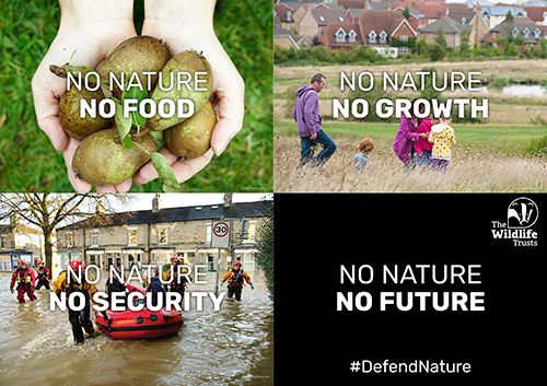 No nature no food, no growth, no security, no future (Wildlife Trusts campaign)