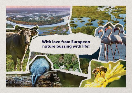 With love from European nature buzzing with life (WeMove campaign)